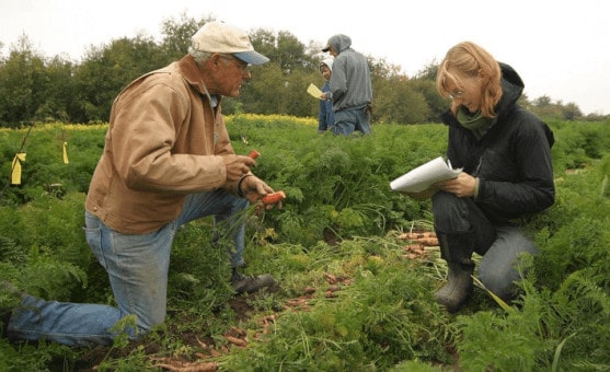 Agriculture sous statut association