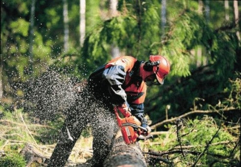 créer entreprise bucheronnage