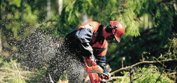 créer entreprise bucheronnage