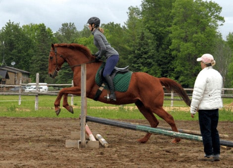 sinstaller eleveur chevaux