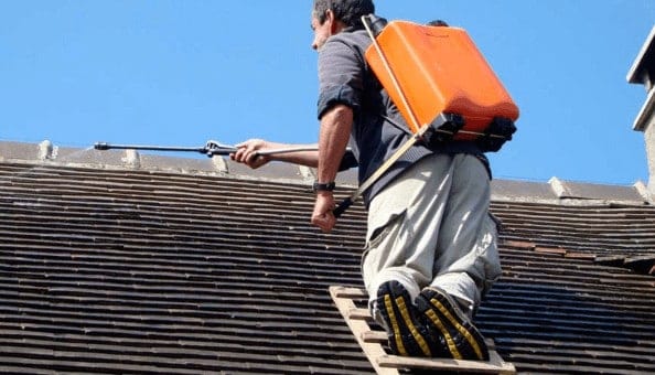 entreprise demoussage entretien toitures
