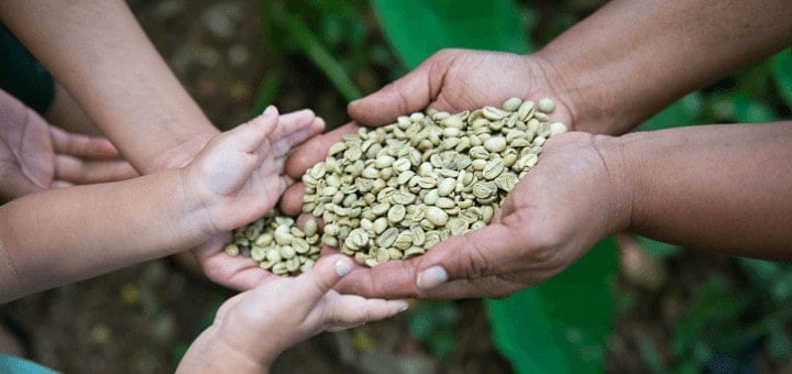 creer entreprise economie sociale solidaire