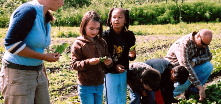 creer ferme pedagogique