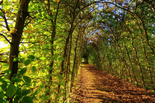 tunnel de vente définition