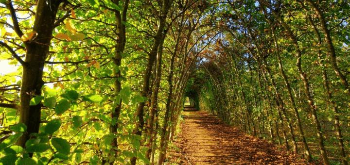 tunnel de vente définition