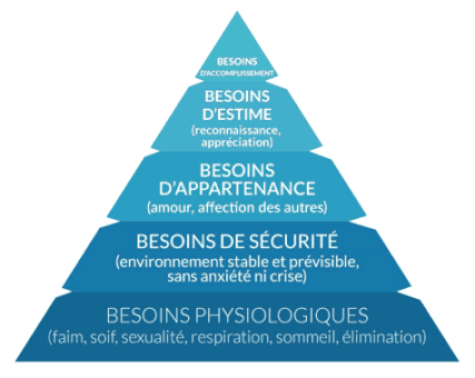 pyramide besoins maslow