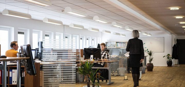 différence entre entreprise et établissement