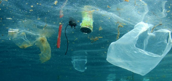 plastique usage unique entreprise