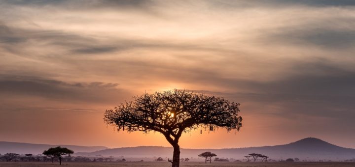 Business Afrique : 10 idées de secteurs rentables