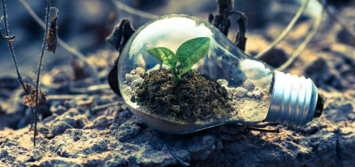 business tendances 2021