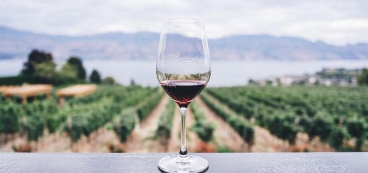 7 idées de start-up dans le vin par WikiCréa