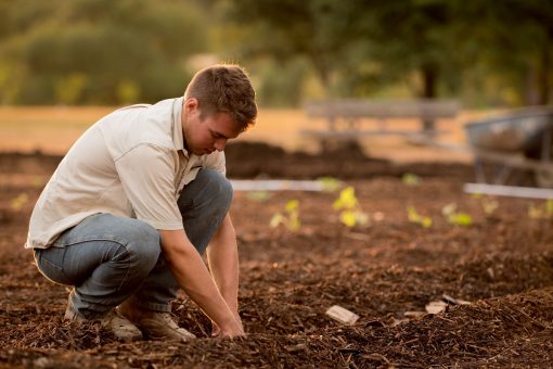 Devenir agriculteur : comment faire ?