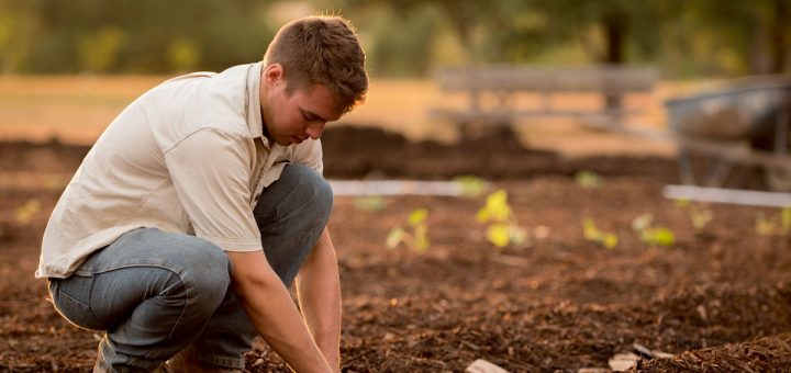 Devenir agriculteur : comment faire ?