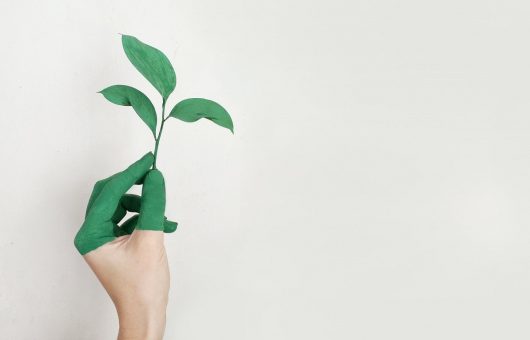 idée entreprise écologique 2022