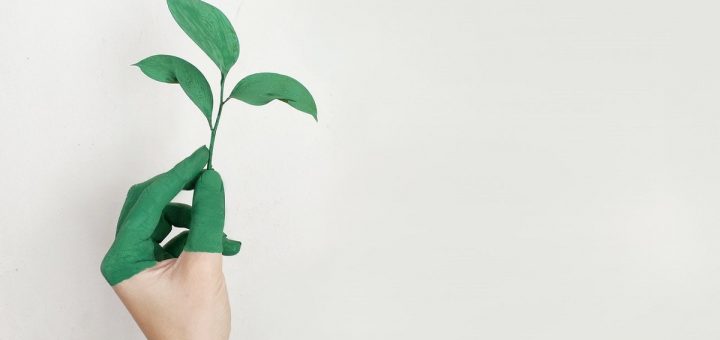 idée entreprise écologique 2022
