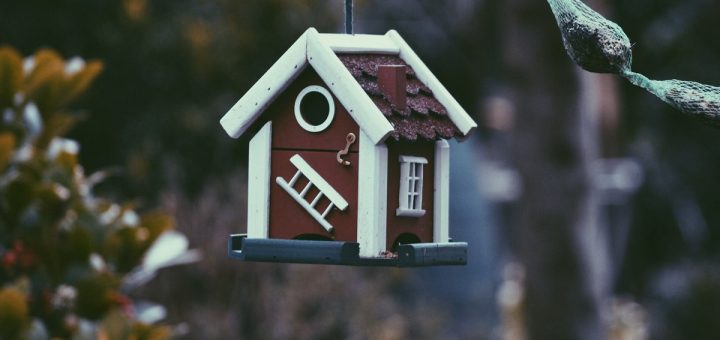 Se lancer dans l'immobilier : tous les conseils WikiCréa