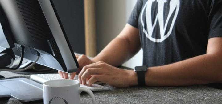 devenir expert wordpress