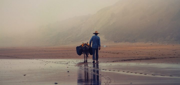 entrepreneur Maroc