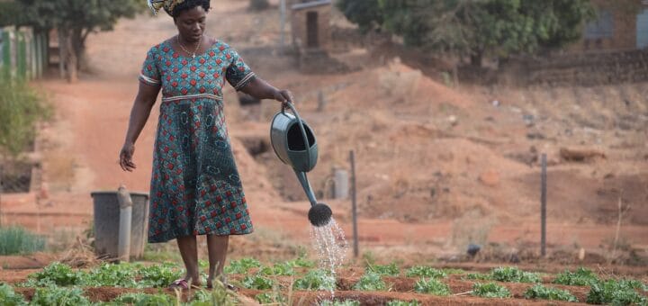 idées business bénin