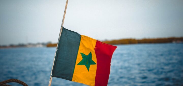 27 idées de business à développer au Sénégal